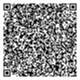 vCard 79713005273