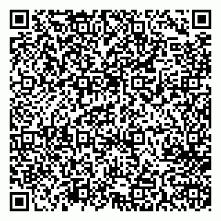 vCard 79713005317