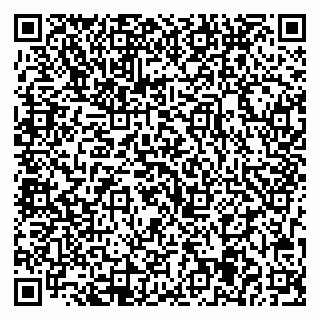 vCard 79713005320