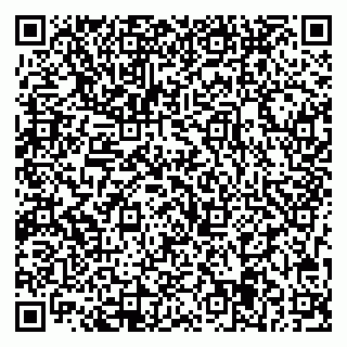 vCard 79713005325