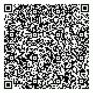 vCard 79713005330