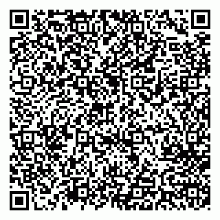 vCard 79713005331