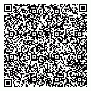 vCard 79713005332