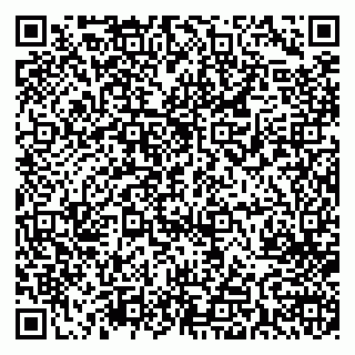 vCard 79713005333
