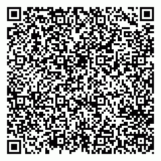 vCard 79713005393