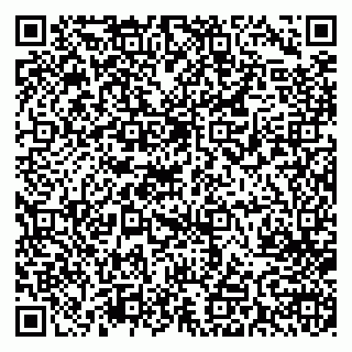 vCard 79713005395