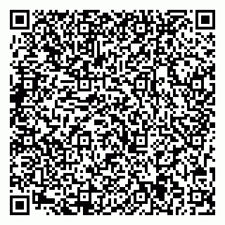 vCard 79713005483