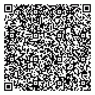 vCard 79713007985