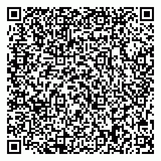 vCard 79713008332
