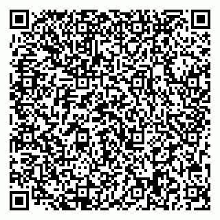 vCard 79713008381