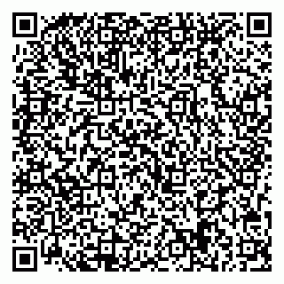 vCard 79713009617