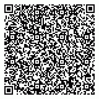 vCard 79713009673