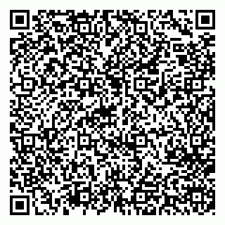 vCard 79713009731