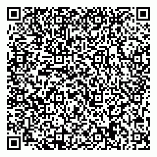 vCard 79713009797