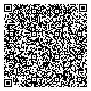 vCard 79713009810