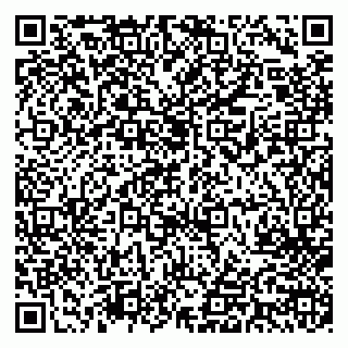 vCard 79713009811