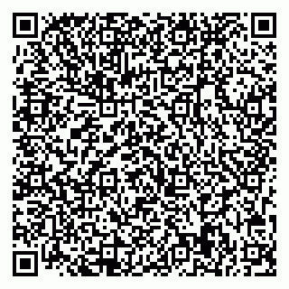vCard 79713009874