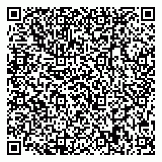 vCard 79713009897