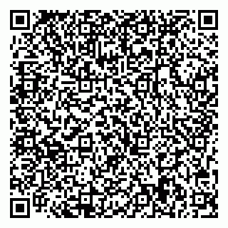 vCard 79713009903