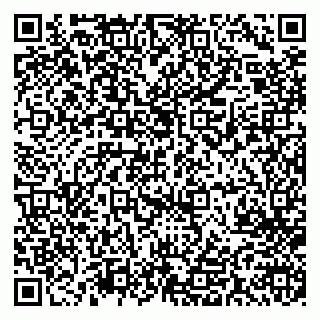 vCard 79713009904