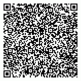vCard 79713009933