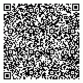 vCard 79713009985