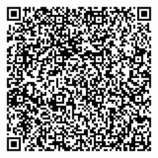 vCard 79802530304