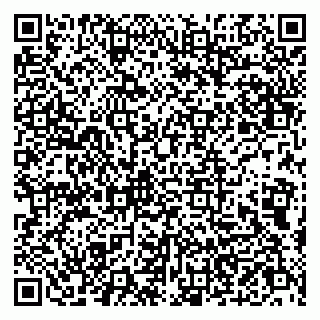 vCard 79802531029