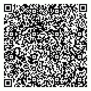 vCard 79802531381