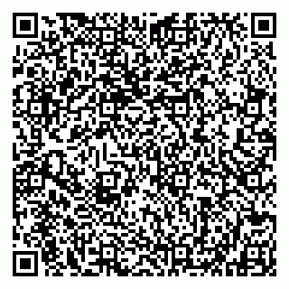 vCard 79802533100