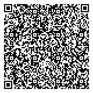 vCard 79802535003