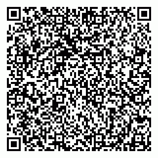 vCard 79802535300