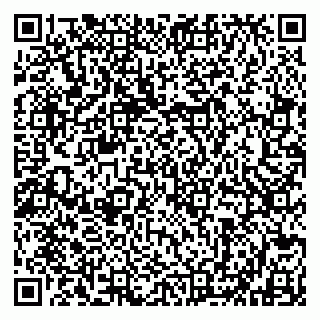 vCard 79802535333
