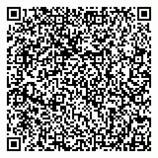 vCard 79802535381