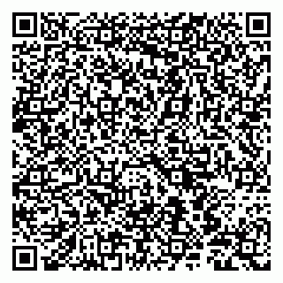 vCard 79802600217