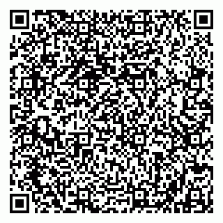 vCard 79802600331