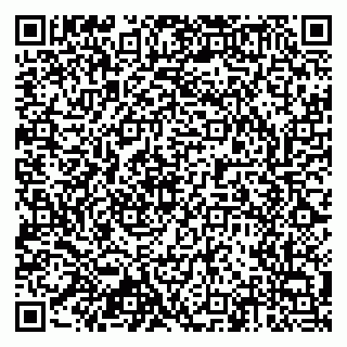 vCard 79803452817