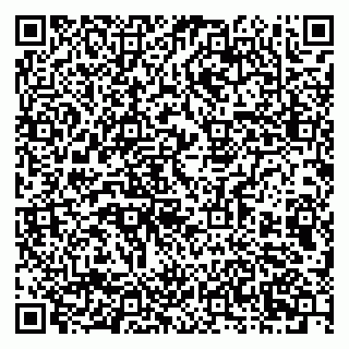vCard 79803452900