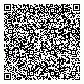 vCard 79803452920