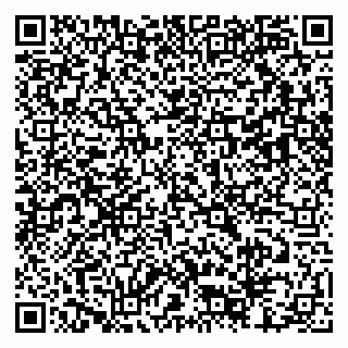 vCard 79803452931
