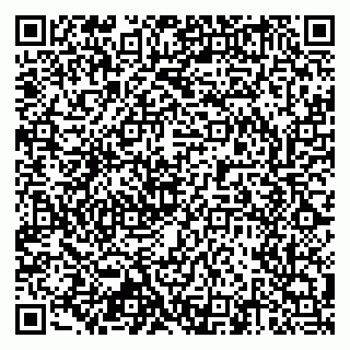vCard 79803452938