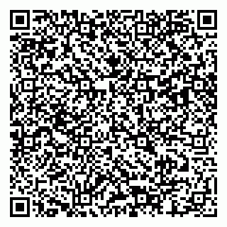 vCard 79803452940