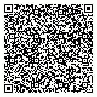 vCard 79803453003