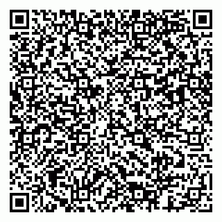 vCard 79803453004