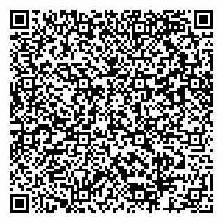vCard 79803453039