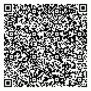 vCard 79803453069