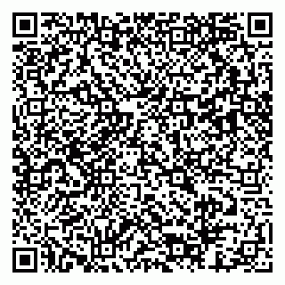 vCard 79803453131