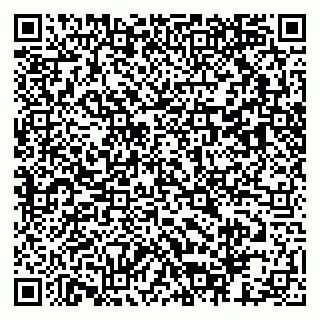 vCard 79803453133