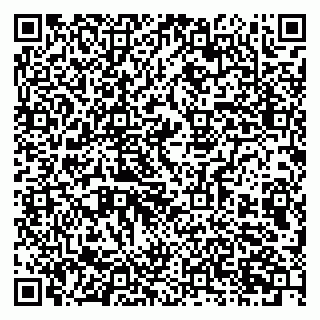 vCard 79803453137