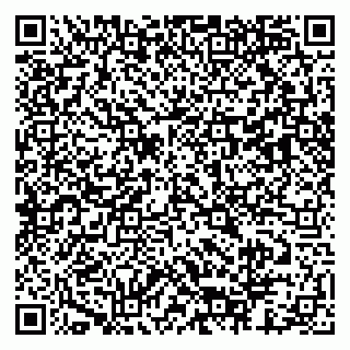 vCard 79803453171